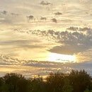 The image shows a cloudy sunset above some gum trees