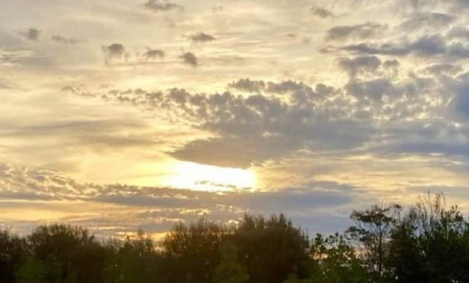 The image shows a cloudy sunset above some gum trees