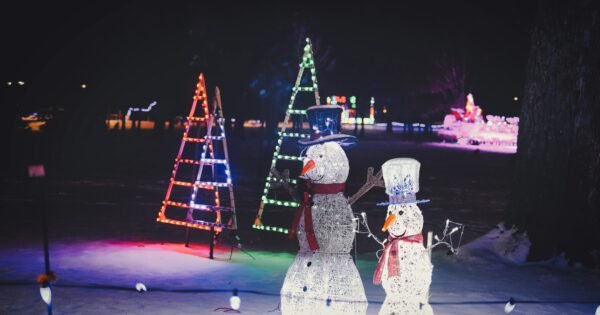 Christmas decorations light up a yard at night. Two wire snowmen wear top hats and red scarves with red, blue, and green open-designed Christmas trees behind them.