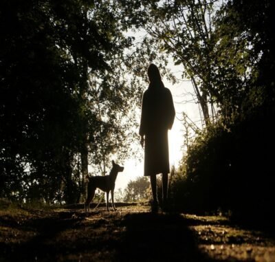 A row of trees with the silhouette of a woman standing beside a dog on a dirt path.