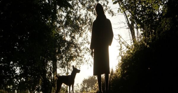 A row of trees with the silhouette of a woman standing beside a dog on a dirt path.