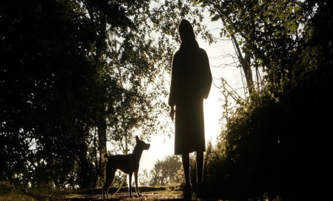 A row of trees with the silhouette of a woman standing beside a dog on a dirt path.