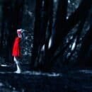 A woman in a red dress within a dark forest landscape