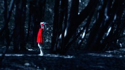 A woman in a red dress within a dark forest landscape