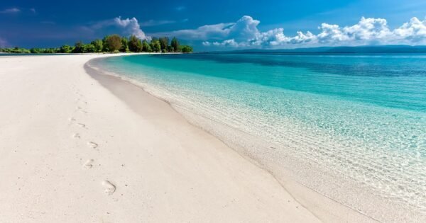 white sandy beach with clear blue water and footprints