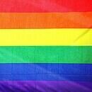 It shows a rainbow flag up close with all the of the classic colors in view. The order of colors goes as follows: red, orange, yellow, green, blue, and purple. There are also slight creases in the image to show how the flag is made of fabric and is moving, just like it would while someone is carrying it.