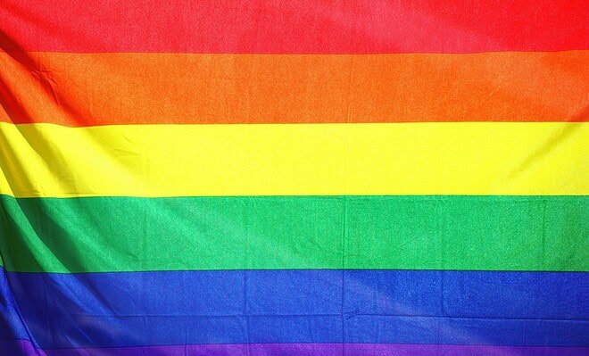 It shows a rainbow flag up close with all the of the classic colors in view. The order of colors goes as follows: red, orange, yellow, green, blue, and purple. There are also slight creases in the image to show how the flag is made of fabric and is moving, just like it would while someone is carrying it.