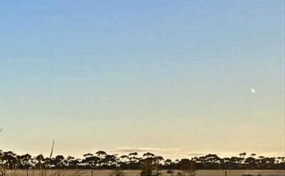 The image is of a flat tree lined horizon under a clear blue sky