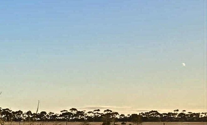 The image is of a flat tree lined horizon under a clear blue sky