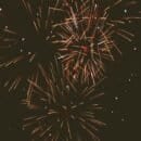 A black sky light up by streaks of red fireworks.