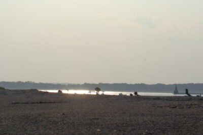 Image of Plum Island Beach