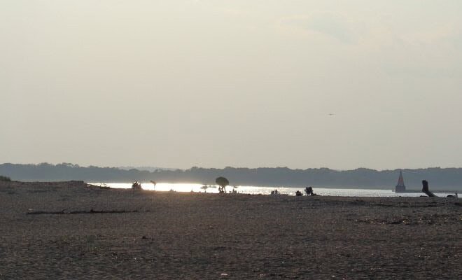 Image of Plum Island Beach