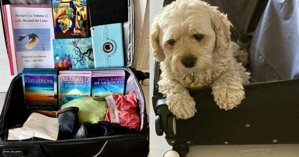 There are two images, one is of my open suitcase in the process of being packed, and the other image is of my doggie Frankie sitting in the suitcase, "Can I come too"?