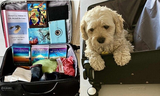There are two images, one is of my open suitcase in the process of being packed, and the other image is of my doggie Frankie sitting in the suitcase, "Can I come too"?