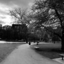 Photo of Boston Public Gardens in black and white