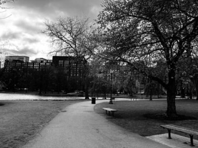 Photo of Boston Public Gardens in black and white