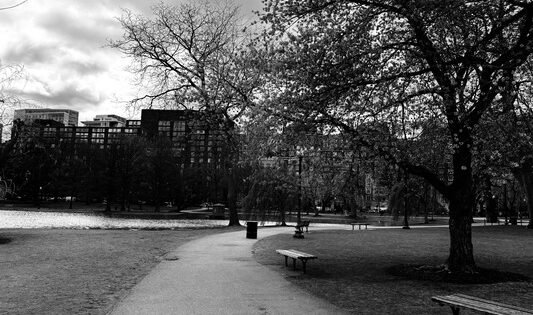 Photo of Boston Public Gardens in black and white