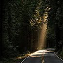 a dim street lit up with a ray of light.