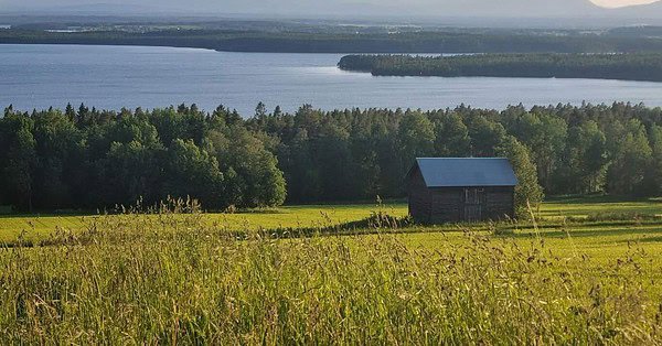 A single cabin stands alone in a big empty field of grass, a clear sky in the background along with it.