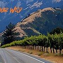 scenic road in mountains