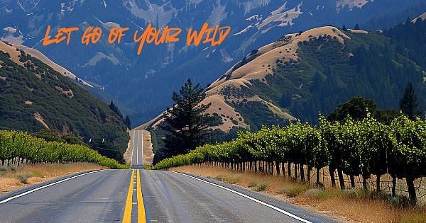 scenic road in mountains