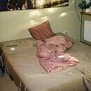 An unmade brown and pink bed.