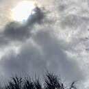 the image is of a dark stormy sky, and I imagine the clouds to look a Trojan Horse