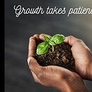 hands holding growing plant