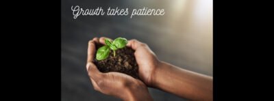 hands holding growing plant