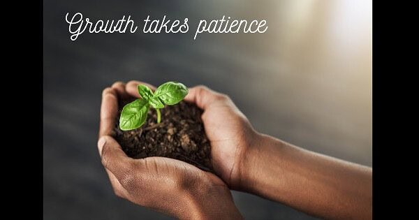 hands holding growing plant