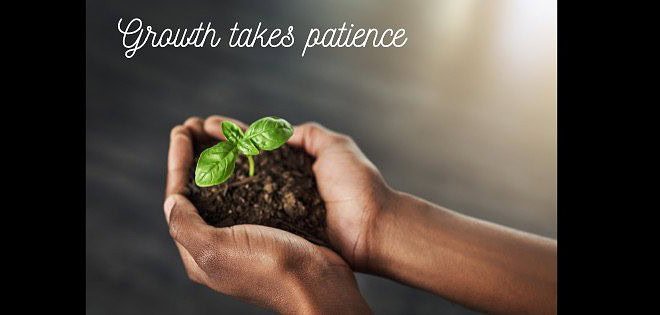 hands holding growing plant