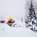 House and trees covered by snow