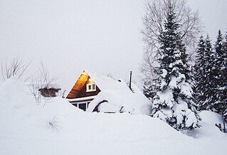 House and trees covered by snow