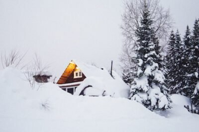 House and trees covered by snow