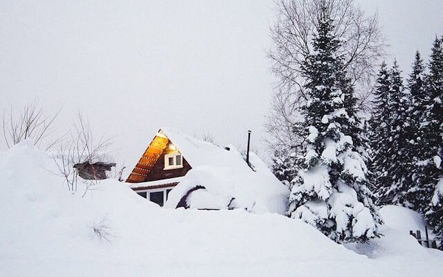 House and trees covered by snow