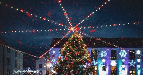 A lit-up Christmas tree