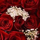 red roses with white baby's breath