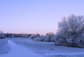 The moon sits in a twilight sky over a winter landscape of snow covered trees and fields.