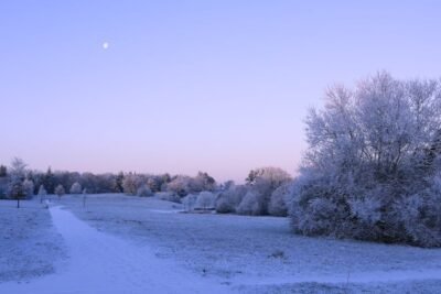 The moon sits in a twilight sky over a winter landscape of snow covered trees and fields.