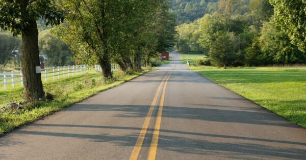 An empty road with trees by the sides.