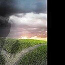 2 shadow figures arrive at a fork in the path