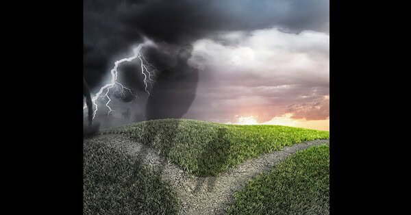 2 shadow figures arrive at a fork in the path