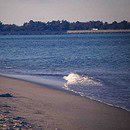Image of Plum Island beach during a sunny day