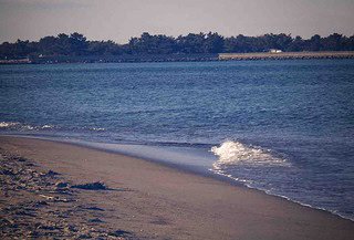 Image of Plum Island beach during a sunny day