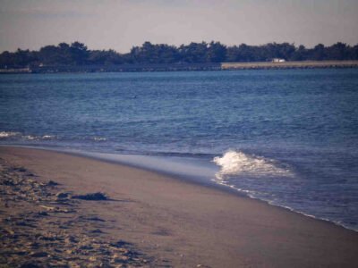 Image of Plum Island beach during a sunny day