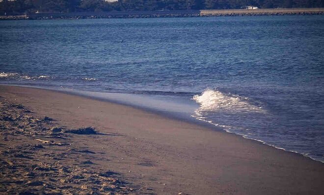 Image of Plum Island beach during a sunny day