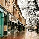 Image of small town Bath, Maine in the rain. Brick shops front a wide sidewalk lined with trees.