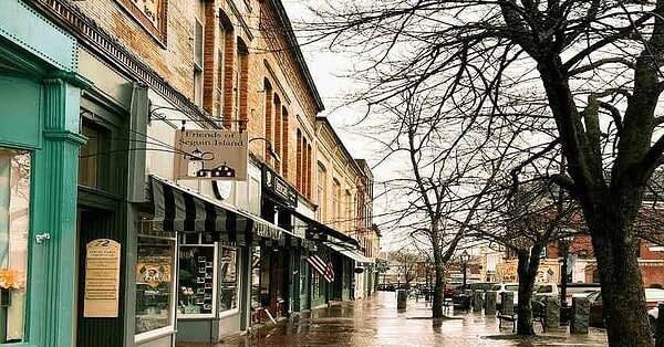 Image of small town Bath, Maine in the rain. Brick shops front a wide sidewalk lined with trees.