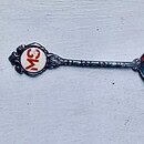 The image is of silver teaspoon with the initials "MS" (Multiple Sclerosis) embossed on the handle button.