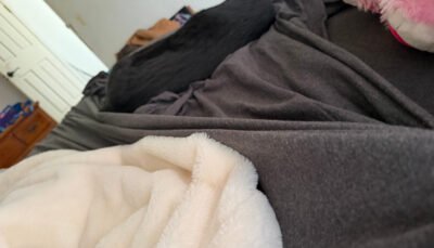 heavily blanketed bed with a dog